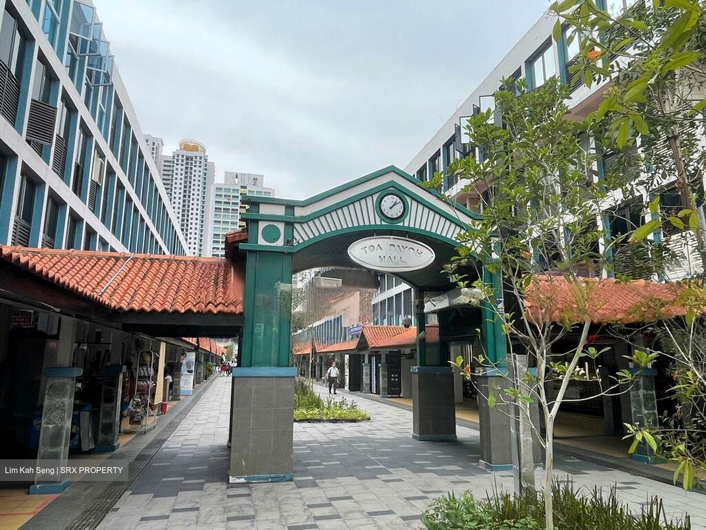 Toa Payoh Central (D12), Shop House #466552621